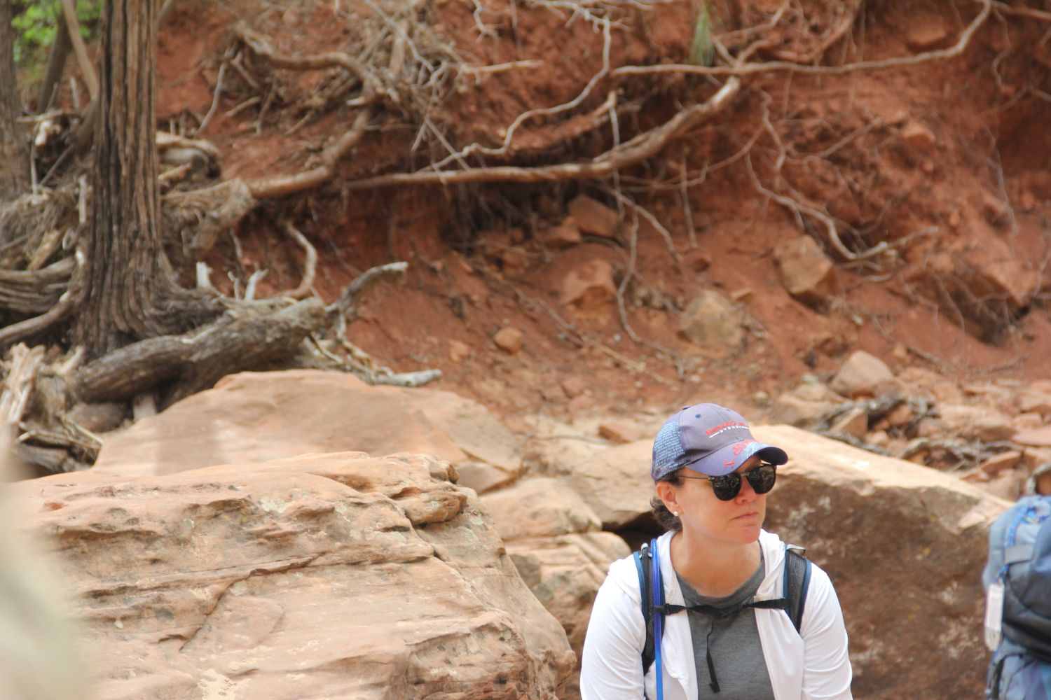 Emerald Pools Trails 